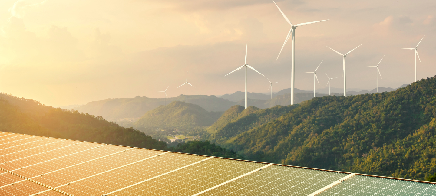 masdarternapccasestudiesdetaild