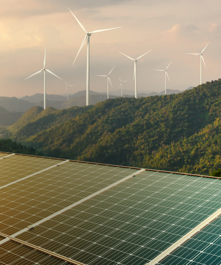 masdarternapccasestudiesthum