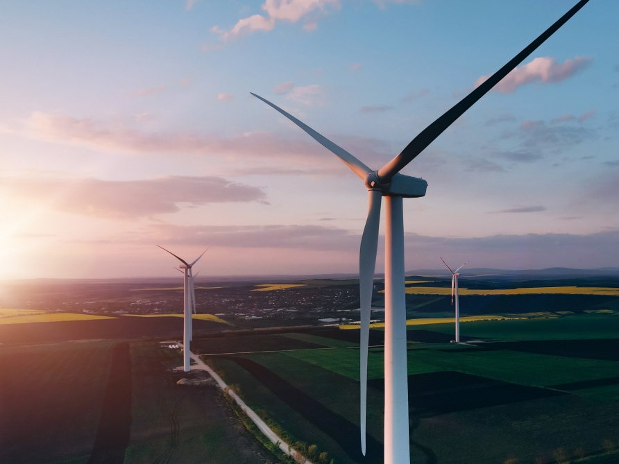 02_stewardship_desktop