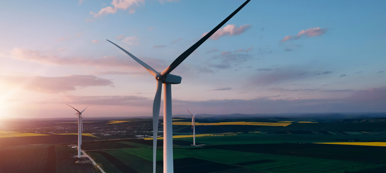 02_stewardship_detailed