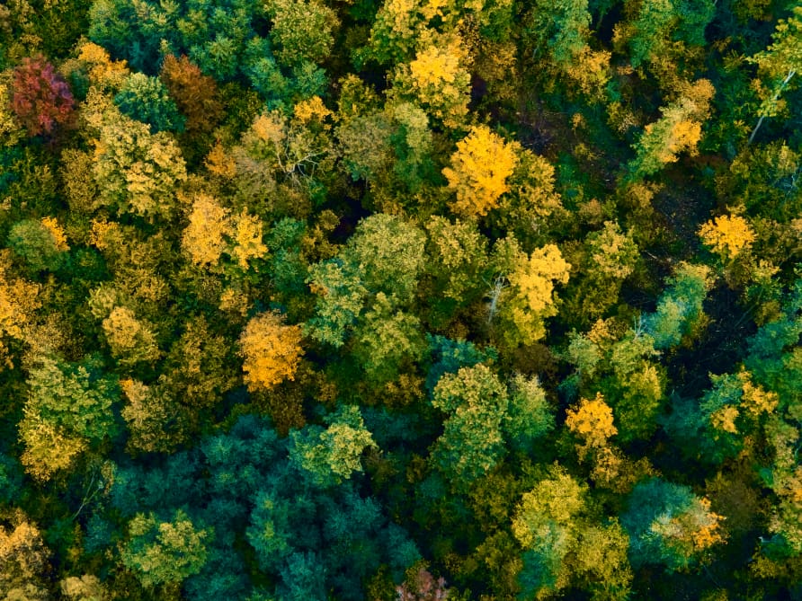 02_inaugural-green-bond_desktop