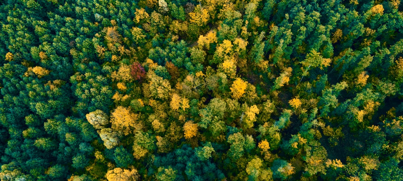 02_inaugural-green-bond_detailed