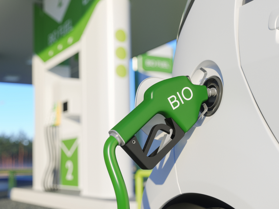 03_acelen-creating-new_desktop