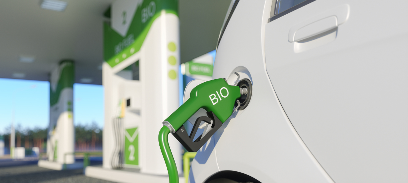 03_acelen-creating-new_desktop_mobile