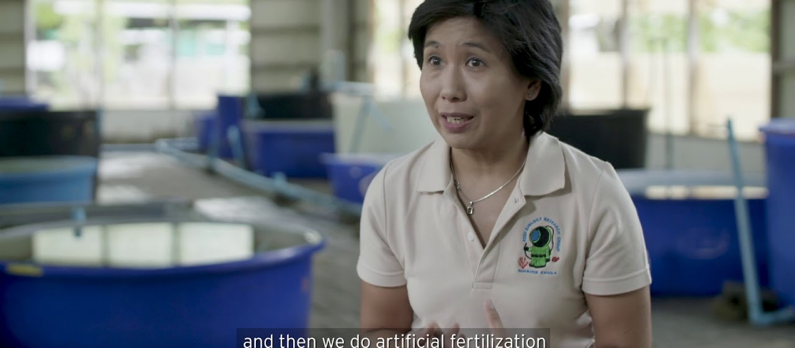 a71161352e2d36e59699260561d7b7b6