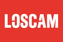private-equity_loscam-logo