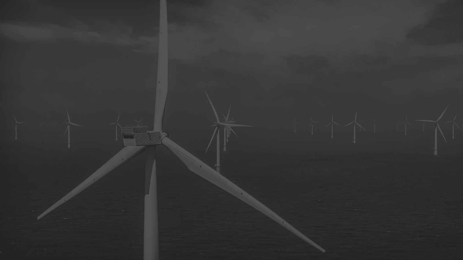 01localizedlpportuguesehero